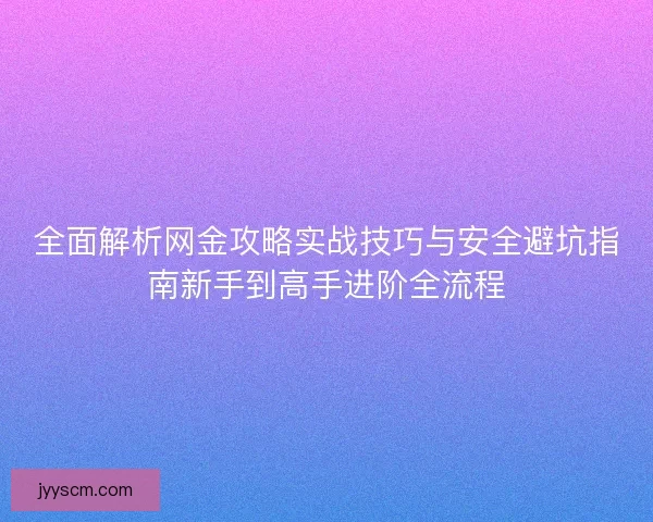 全面解析网金攻略实战技巧与安全避坑指南新手到高手进阶全流程